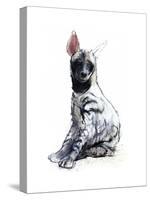 Striped Hyaena Pup, 2010-Mark Adlington-Stretched Canvas