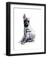 Striped Hyaena Pup, 2010-Mark Adlington-Framed Giclee Print