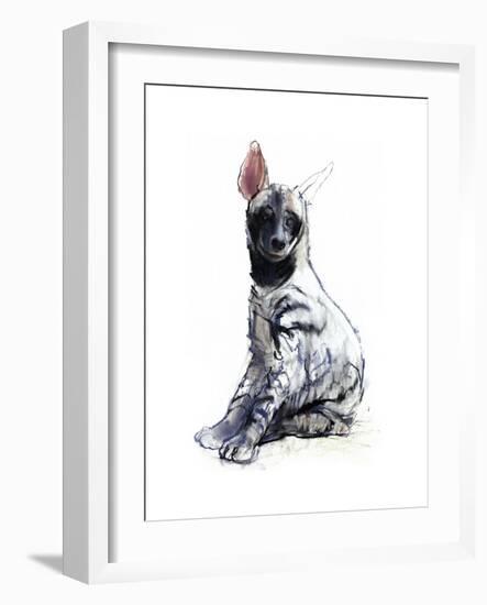 Striped Hyaena Pup, 2010-Mark Adlington-Framed Giclee Print