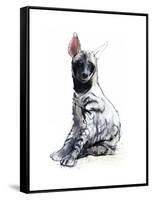 Striped Hyaena Pup, 2010-Mark Adlington-Framed Stretched Canvas