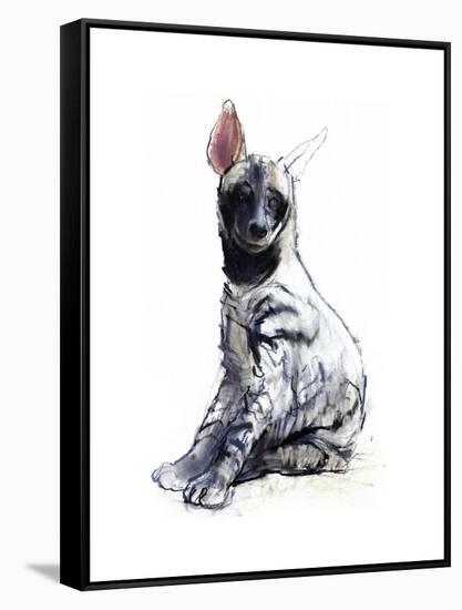 Striped Hyaena Pup, 2010-Mark Adlington-Framed Stretched Canvas