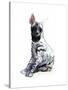 Striped Hyaena Pup, 2010-Mark Adlington-Stretched Canvas