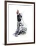 Striped Hyaena Pup, 2010-Mark Adlington-Framed Giclee Print