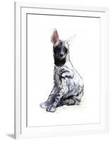 Striped Hyaena Pup, 2010-Mark Adlington-Framed Giclee Print