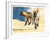 Striped Hyaenas, 2010-Mark Adlington-Framed Giclee Print