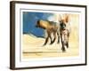 Striped Hyaenas, 2010-Mark Adlington-Framed Giclee Print