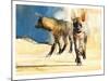 Striped Hyaenas, 2010-Mark Adlington-Mounted Giclee Print