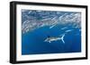 Striped marlin feeding on Sardine bait ball, Mexico-Franco Banfi-Framed Photographic Print