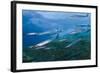 Striped - Mediterranean Barracuda (Sphyraena Sphyraena) Shoal over Rocks, Corsica, France-Pitkin-Framed Photographic Print