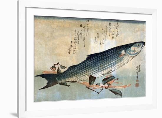 Striped Mullet, Japanese Wood-Cut Print-Lantern Press-Framed Art Print