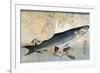 Striped Mullet, Japanese Wood-Cut Print-Lantern Press-Framed Art Print