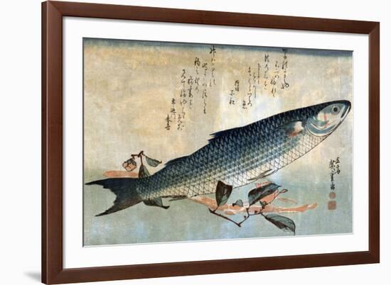 Striped Mullet, Japanese Wood-Cut Print-Lantern Press-Framed Art Print