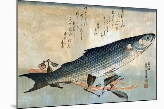 Striped Mullet, Japanese Wood-Cut Print-Lantern Press-Mounted Art Print