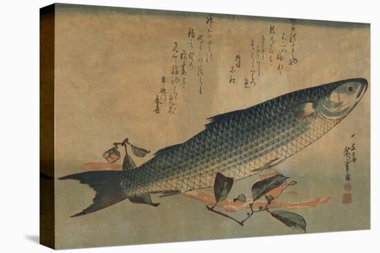 Striped Mullet-Ando Hiroshige-Stretched Canvas