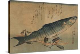 Striped Mullet-Ando Hiroshige-Stretched Canvas