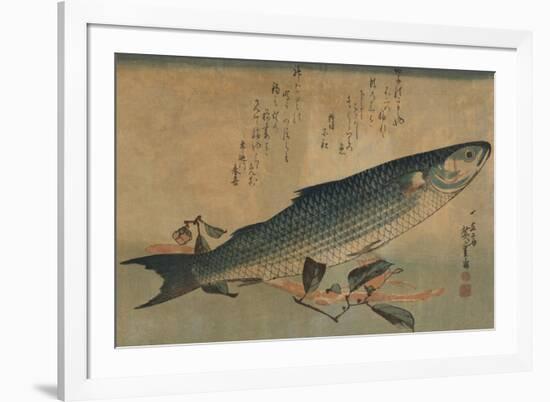 Striped Mullet-Ando Hiroshige-Framed Premium Giclee Print