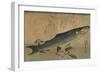 Striped Mullet-Ando Hiroshige-Framed Art Print