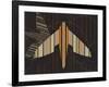 Striped Paper Planes-Belen Mena-Framed Giclee Print