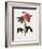 Striped Rose of France-Pierre Joseph Redoute-Framed Giclee Print