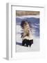 Striped Skunk in the Snow-DLILLC-Framed Photographic Print