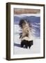 Striped Skunk in the Snow-DLILLC-Framed Photographic Print