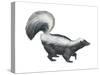Striped Skunk (Mephitis Mephitis), Mammals-Encyclopaedia Britannica-Stretched Canvas