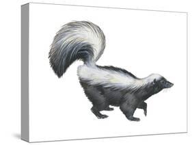 Striped Skunk (Mephitis Mephitis), Mammals-Encyclopaedia Britannica-Stretched Canvas