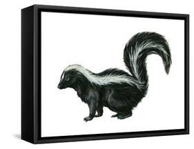 Striped Skunk (Mephitis Mephitis), Mammals-Encyclopaedia Britannica-Framed Stretched Canvas