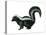 Striped Skunk (Mephitis Mephitis), Mammals-Encyclopaedia Britannica-Stretched Canvas