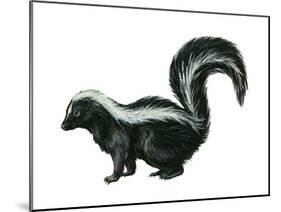 Striped Skunk (Mephitis Mephitis), Mammals-Encyclopaedia Britannica-Mounted Poster