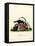 Striped Skunk-null-Framed Stretched Canvas