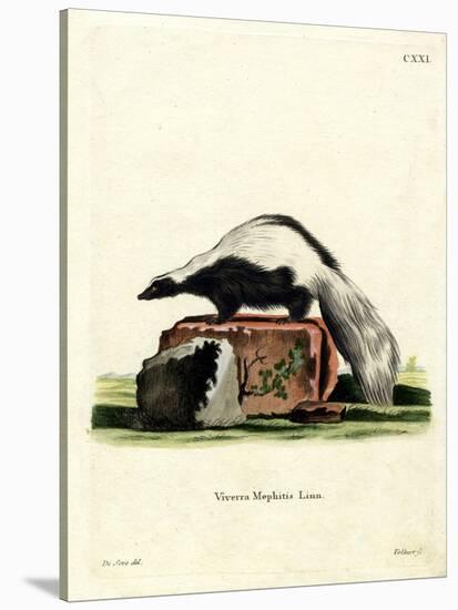 Striped Skunk-null-Stretched Canvas