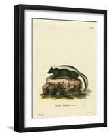 Striped Skunk-null-Framed Giclee Print