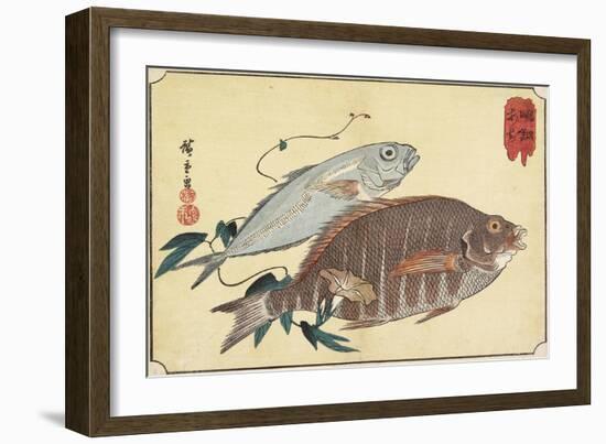 Striped Snapper and Horse Mackerel, Early 19th Century-Utagawa Hiroshige-Framed Giclee Print