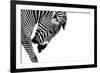 Striped Stallion-SHS Photography-Framed Art Print