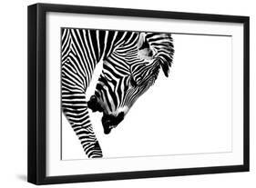 Striped Stallion-SHS Photography-Framed Art Print