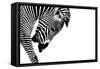 Striped Stallion-SHS Photography-Framed Stretched Canvas