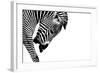 Striped Stallion-SHS Photography-Framed Art Print