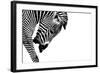 Striped Stallion-SHS Photography-Framed Art Print