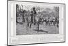 Striped to Elude the Enemy, a Pony Disguised as a Zebra, on the German East African Border-null-Mounted Photographic Print