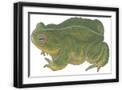 Black Frame