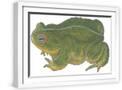White Frame