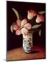 Striped Tulip-Dory Coffee-Mounted Giclee Print