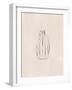 Striped Vase-Ivy Green Illustrations-Framed Giclee Print