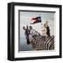 Striped Warrior-Lucia Heffernan-Framed Art Print