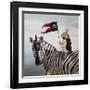 Striped Warrior-Lucia Heffernan-Framed Art Print