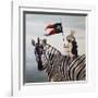 Striped Warrior-Lucia Heffernan-Framed Art Print