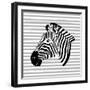 Striped Zebra-Martina Pavlova-Framed Art Print