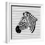 Striped Zebra-Martina Pavlova-Framed Art Print