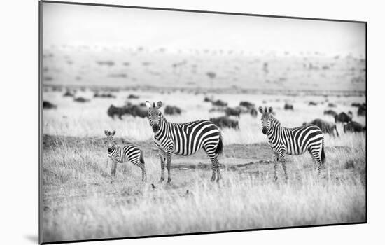 Stripes-Mark Bridger-Mounted Art Print